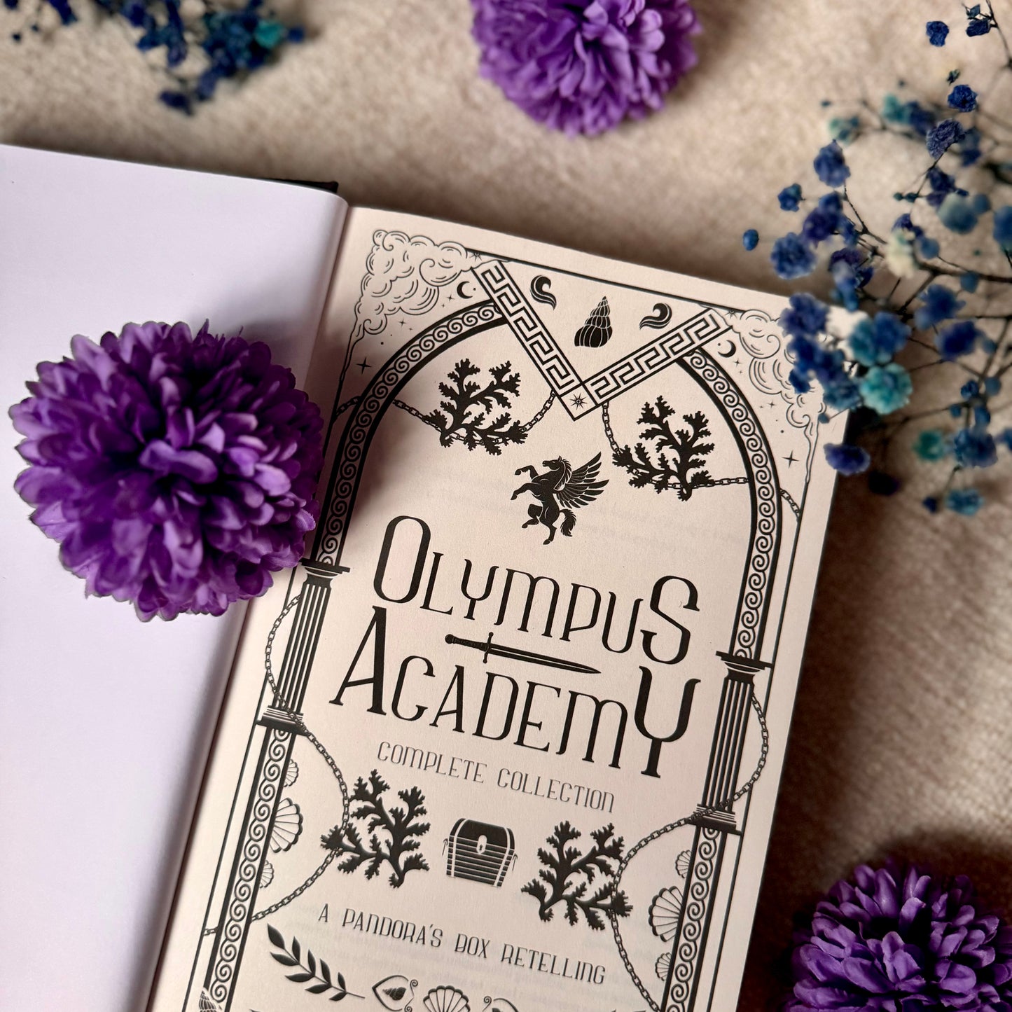 Olympus Academy: Complete Special Edition Collection